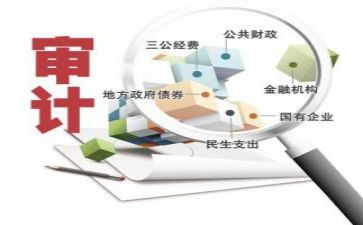 审计所工作总结优秀6篇