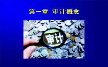 审计所工作总结通用5篇