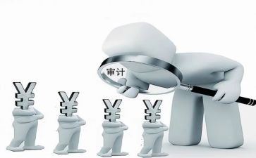 审计年度工作总结8篇