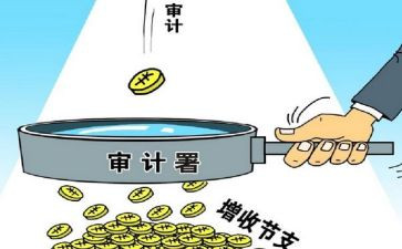 审计员的年度工作总结8篇