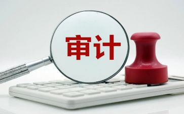 审计所工作总结优质7篇