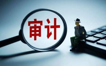 审计员的年度工作总结通用8篇