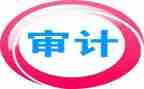 局审计工作计划模板8篇