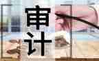 审计员个人总结最新7篇