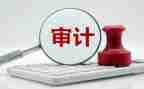 审计所工作总结优质7篇