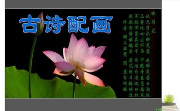关于诗的读后感作文500字模板8篇