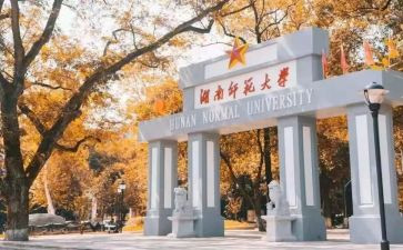 师范生教学心得体会8篇