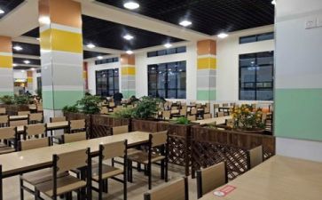 食堂2024年工作总结优质8篇