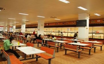 2024食堂工作总结7篇