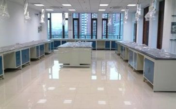 实验室做实验的心得体会总结6篇