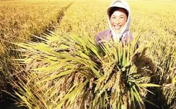 心得体会收获优质8篇