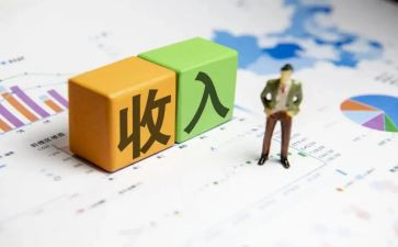 区农民收入调查报告5篇
