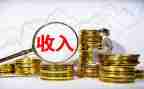 农民收入低调查报告6篇