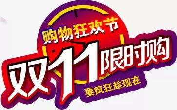 双11促销活动总结报告8篇
