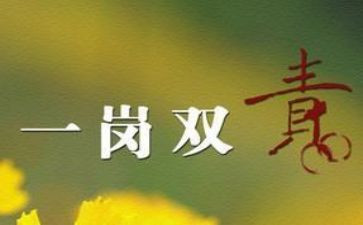 廉政一岗双责工作总结6篇