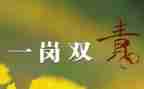 廉政一岗双责工作总结6篇