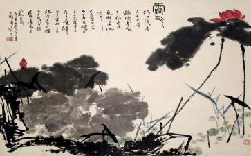 书画摄影活动方案6篇