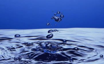 水果营销方案与策划6篇