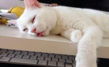 沉睡的书读后感7篇