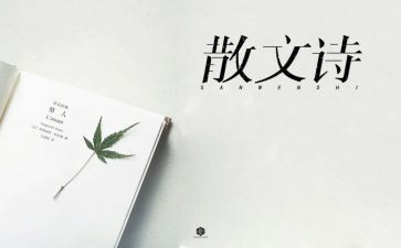 抒情作文600字优质6篇