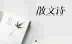 抒情作文600字优质6篇