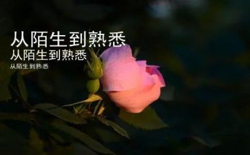我最熟悉的人作文600字7篇