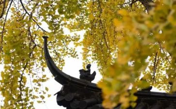 寺管干部教育培训心得体会范文7篇