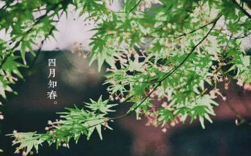 四月工作总结范文5篇