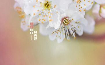 幼儿园小班四月工作计划7篇