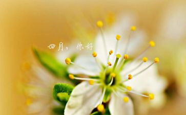 四月四日全国哀悼日心得体会6篇