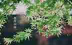 四月工作总结范文5篇