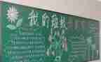 随班就读班主任工作总结6篇