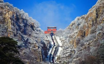 2023年生命重于泰山心得体会模板5篇