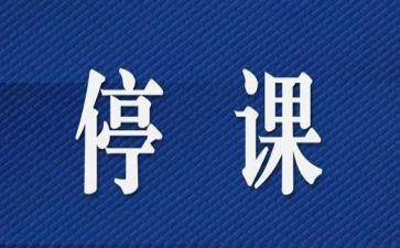 停课不停学心得体会模板5篇