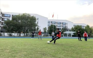 体卫办个人总结8篇