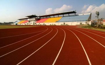 小学体育活动方案策划6篇