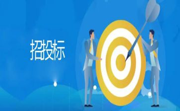2024年投标工作总结模板8篇