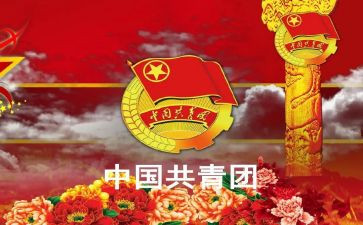 团干部年度总结报告6篇