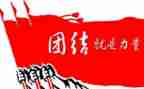 团结合作的心得体会8篇