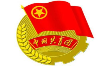 大学团委工作总结的范文8篇