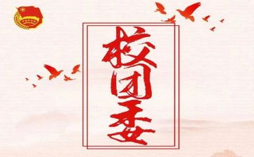 区团委工作总结6篇