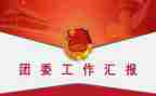 2024年院团委工作总结8篇