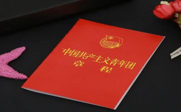 团章学心得体会6篇