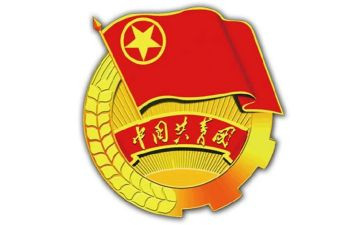 团支书个人总结6篇