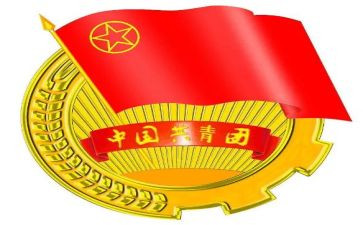 村团支部半年工作总结5篇