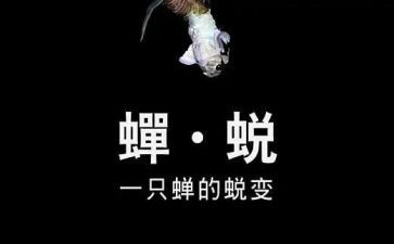 警示教育蜕变心得体会8篇
