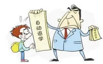 退学申请书范文最新5篇