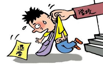 退学生申请书800字精选6篇