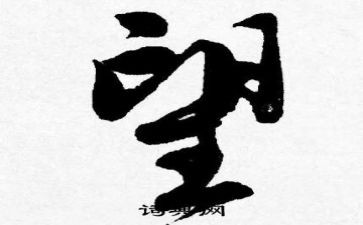 作文我希望600字作文5篇