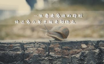 微感悟和心得体会模板5篇